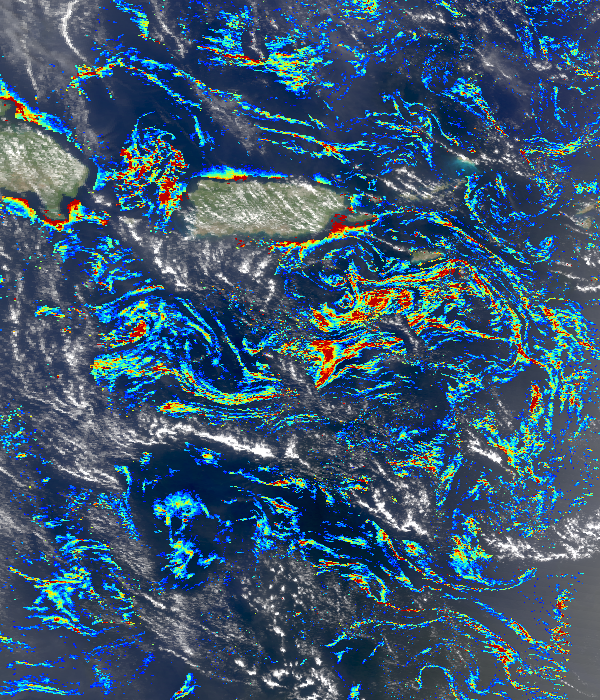 Satellites reveal the spread of Sargassum across the Atlantic ICARE