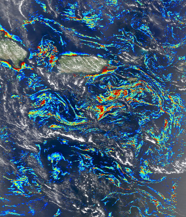 Sargassum Seaweed 2024 Map Kassi Matilda